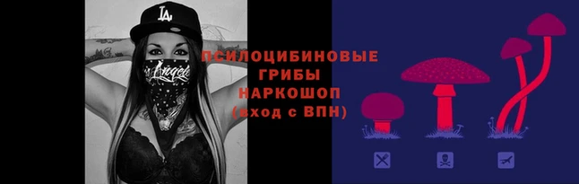 молекула духа Белоозёрский