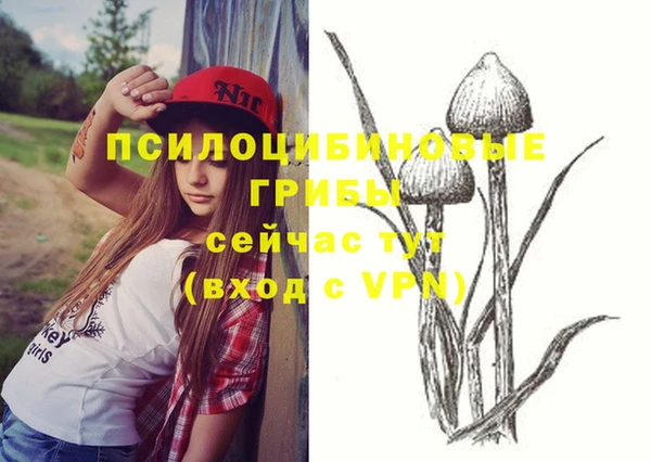 МДПВ Белокуриха